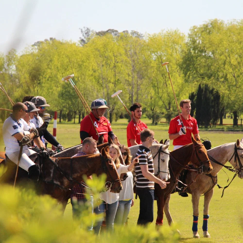 Día de polo