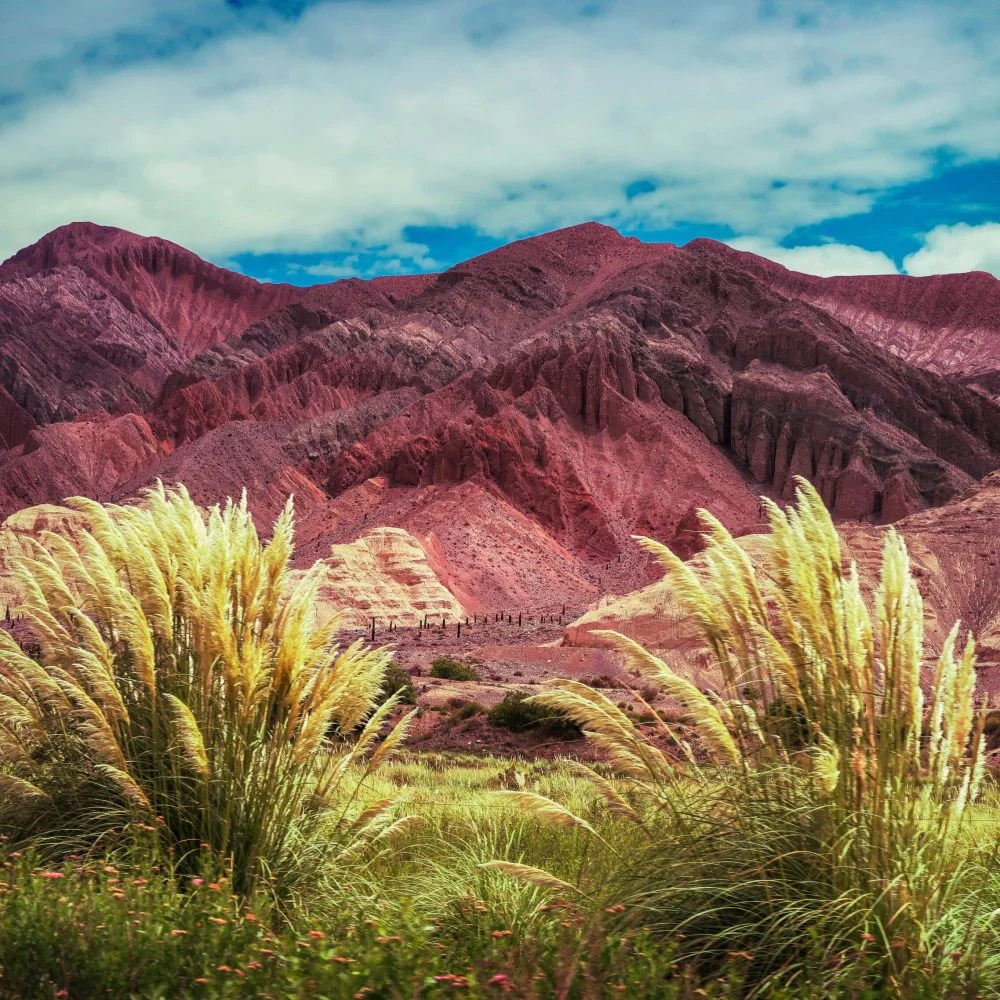 Salta y Jujuy